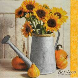 HANKE TISSUE Polska seria HANKE